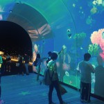 「ILLUSION DOME」アクアリウムVer