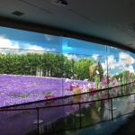3Dプロジェクションマッピング展　糸で織りなす花＊タオル物語